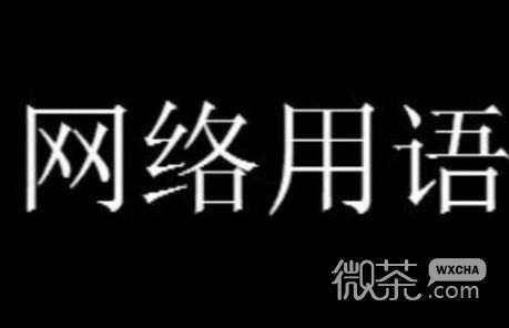 你安利的样子像极了骗子梗是什么意思详情