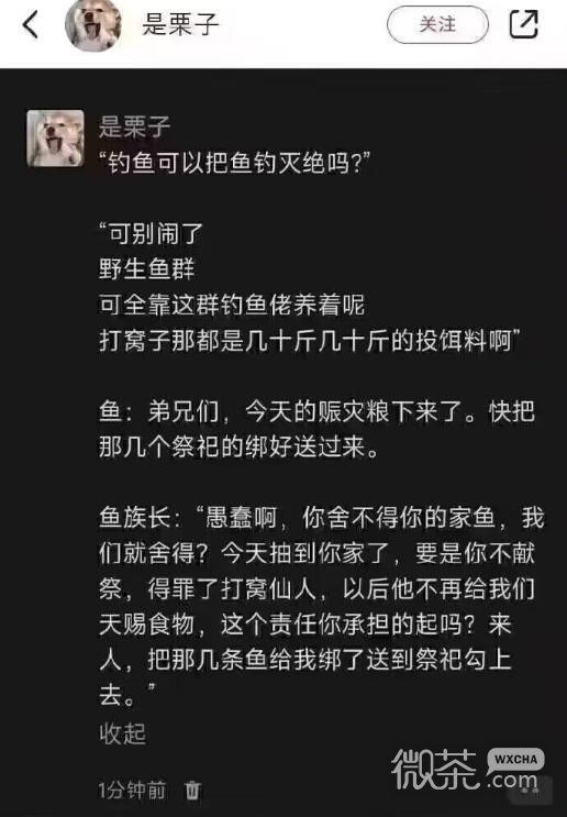 打窝仙人梗是什么意思详情