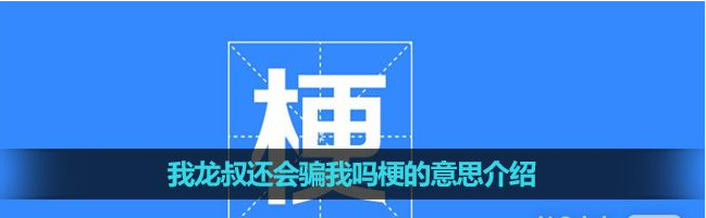 我龙叔还会骗我吗梗是什么意思详情