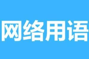 我没有惹你们任何人梗是什么意思详情