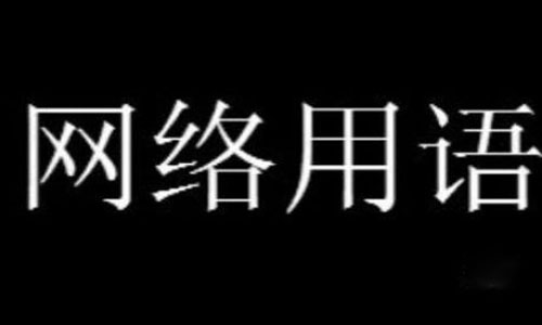 普公婴梗是什么意思详情