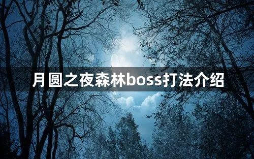 月圆之夜森林boss通关攻略