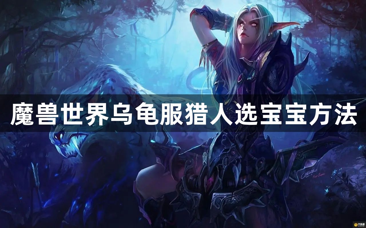 魔兽世界乌龟服猎人选什么宝宝