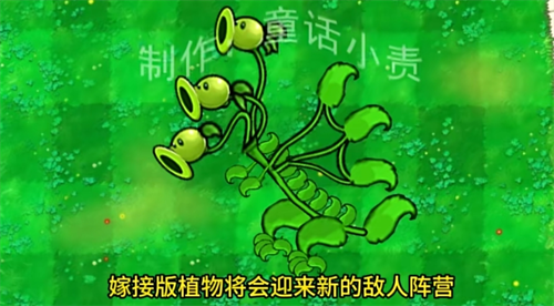 《植物大战僵尸》嫁接版怎么下载